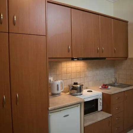 Georgias House Apartment Lefkada City Exterior photo